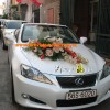 xe hoa dia lan trang dau xe lexus.jpg